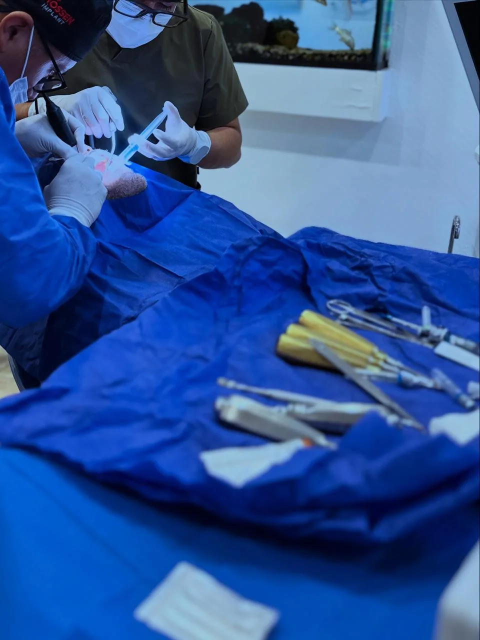 Instrumental quirúrgico durante una cirugía oral en Dental Cors